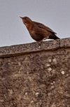 20220418_095444.jpg