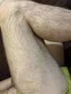 3D9ADA18-B10A-4C28-9C4B-17D9465426A7.jpeg