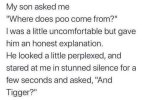 Poo.jpg