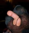 FB_IMG_1651239915713.jpg