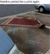 1651339338689.jpeg