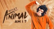 what_animal_am_i_featured.jpg