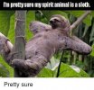 sloth-meme-of-a-sloth-chilling-on-a-branch-in-the-middle-of-a-forest.jpeg
