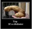 2198612dd2b6f2bffdcbe3d0e73da508--so-funny-funny-pics.jpg