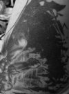 72B992C9-DD2F-413F-8BC8-1D56FEB07731.jpeg