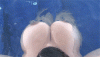 EF6DDA6E-2717-4CF7-9ADD-DEF90FB05798.gif