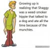90876f25864bea245a8e06a39fab5790--shaggy-scooby-doo.jpg