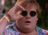 giphy (1).gif