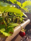 20220520_070708.jpg