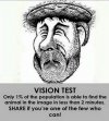 optical-illusion-picture-brain-teaser.jpg