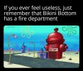 FB_IMG_1653477367491.jpg