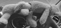 6C8964A1-E7E1-4A00-A5E2-B9838D02C063.jpeg