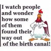 bb69b6d269133a3dc31efa46a511fecc--foghorn-leghorn-births.jpg