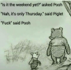is-it-the-weekend-yet-asked-pooh-nah-its-only-12446071-1.png