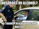wasted.jpg