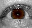 20220617_191328.jpg