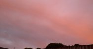 20220618_214204.jpg