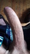 IMG-20220608-WA0002.jpeg