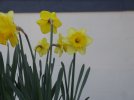 DSC00479.JPG