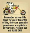 FB_IMG_1655636204093.jpg