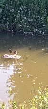20220623_075334.jpg