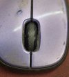 1 purple mouse.jpg