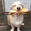 8AC01264-0DFC-467A-96E7-CD38307C56C1.gif