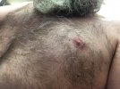 IMG_1131 chest.JPG