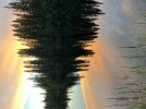 8363EAC3-604D-4410-AE08-CEF6F8CDDE69.jpeg
