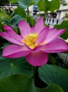 20220709_072829.jpg