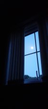 20220718_044228.jpg