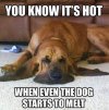 FB_IMG_1658187038286.jpg