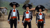 2C56C76D-E38E-460E-A1BD-B16BD76B7CC0.gif