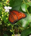 IMG_20220730_174018.jpg