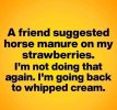 FB_IMG_1658699731645.jpg