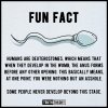FB_IMG_1660485900581.jpg
