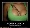 trouser-snake.jpeg