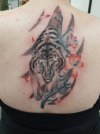 Tiger - Holier Than Thou.jpg