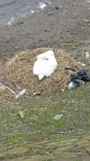 IMG_20210525_105231.jpg