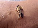 20220815_012958.jpg
