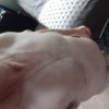 27998807.jpg