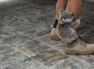 37EAADD6-228E-4722-839F-17E872417270.gif