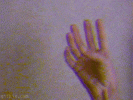 9A794459-19CA-44AF-8503-C15A1315A0AE.gif