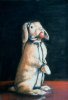 bondage_bunny.jpg.w300h439.jpg