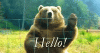 tenor (2).gif