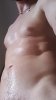 Screenshot_20190921-234354_Gallery.jpg