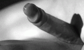 D352E5F2-F4ED-44B0-9209-621DD095037E.gif