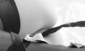 B6D8133C-F375-43A7-9B6D-DCC5D991AE33.gif
