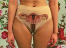Screenshot 2022-09-29 at 21-52-08 Feminist artistic underwear gives a biology lesson in women’s.jpg
