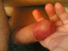 29122006(013)[1].jpg